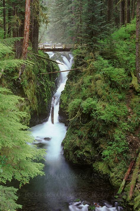 Sol Duc Falls On The Sol Duc River On The Olympic Peninsula In Olympic