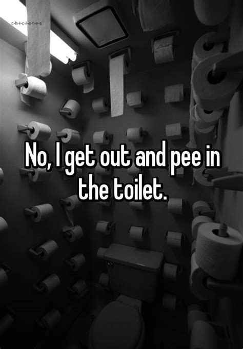 No I Get Out And Pee In The Toilet