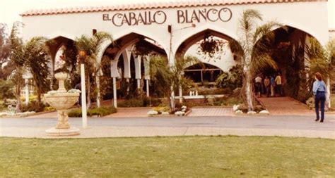 El Caballo Blanco A Forgotten Past Past Camden Nsw Blanco