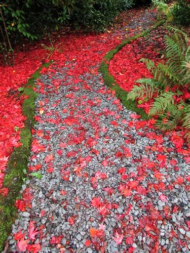 Colourful Pathway Photo Taken In Grasmere Garden Villa Flickr