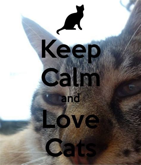 Keep Calm And Love Cats Beautiful Cats Cat Love Cats