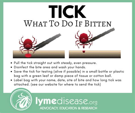 Early Signs Of Lyme Disease From Tick Bite Recognize Disease