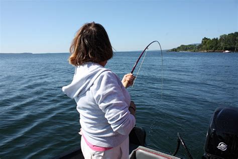 Maine Matters Flashing Back To Summer Mackeral Fishing Penobscot Bay