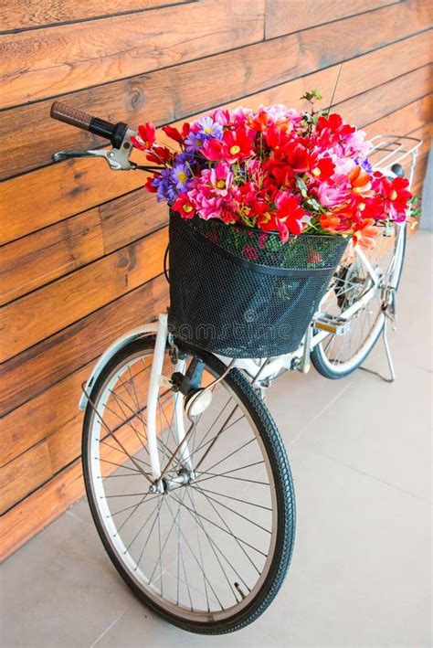 Vintage Bicycle With Flower In Basket Stock Image Image Of Decor