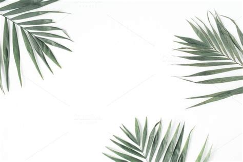 Pastel Palm Leaf Desktop Wallpaper Mural Wall