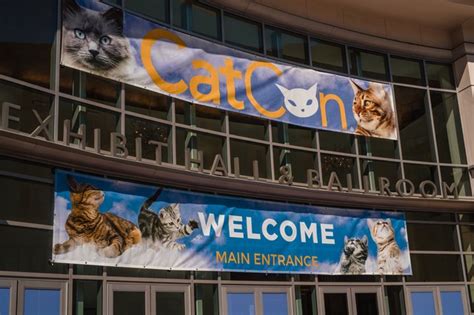 Just Some Of The Highlights Of Catcon 2019 Cuteness