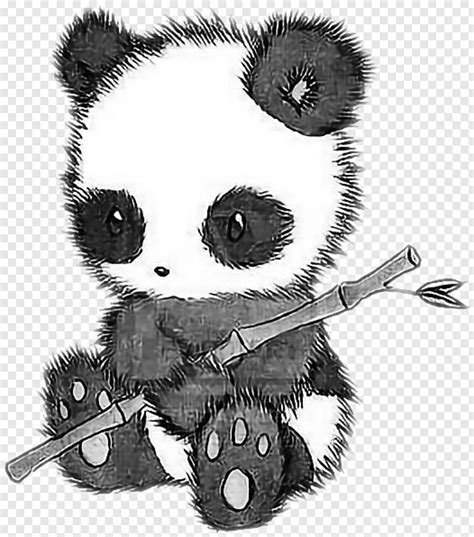 Panda Png Draw So Cute Animal Png Download 526x596