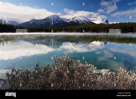 Herbert Lake And Bow Range Banff National Park Alberta Canada Stock