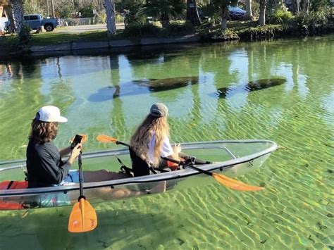 Weeki Wachee Manatee Kayak Tour Get Up And Go Kayaking