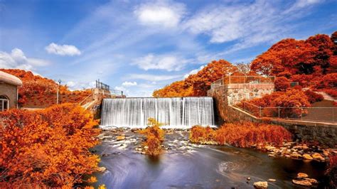 Falls Dam Waterfall Between Autumn Trees Under Cloudy Blue Sky Nature