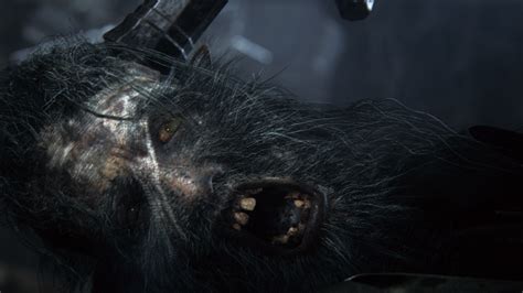Network audience reviews for darker than black: Bloodborne Debut Trailer - it's a werewolf, man. Werewolf ...