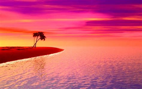 Hot Pink Beach Sunset Wallpaper Pink Sunset Purple Sunset