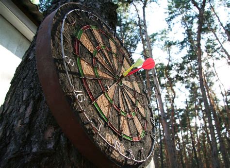 177 Darts Tree Stock Photos Free And Royalty Free Stock Photos From