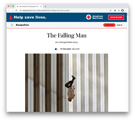 The Falling Man —