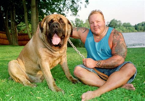 Meet The Worlds Biggest Pets Giant Animals Huge Dogs Large Animals