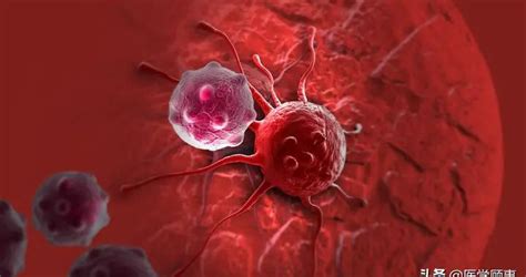 癌细胞竟会主动攻击免疫细胞，偷取对方的线粒体癌细胞新浪新闻