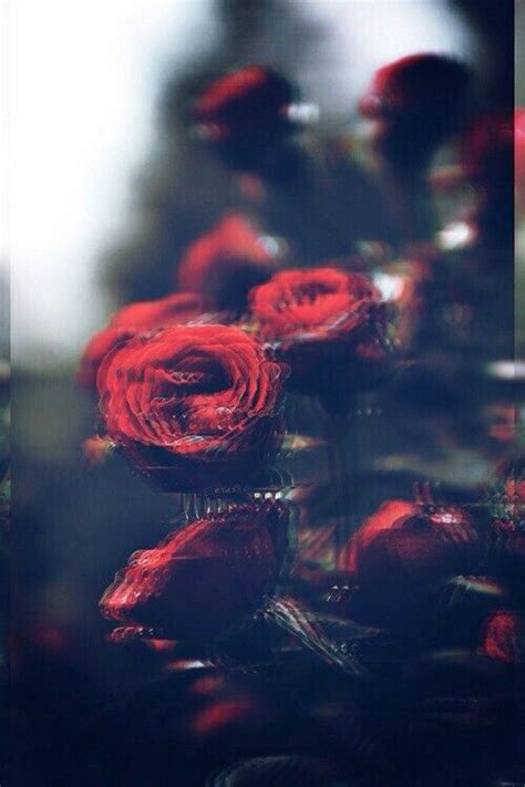 Blurry Roses Glitch Wallpaper Trippy Wallpaper Flower Background