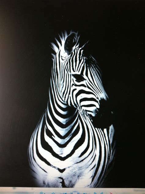 17 Best Images About Paint Giraffes Zebras Hippos On