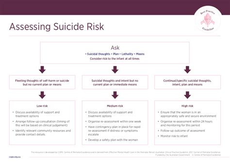 Assessing Suicide Risk Cope