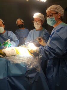 Osteomas Cirurgia Minimamente Invasiva Val Ria Marques