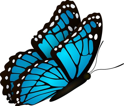 Transparent Blue Butterfly Png Monarch Butterfly Clipart Bc5