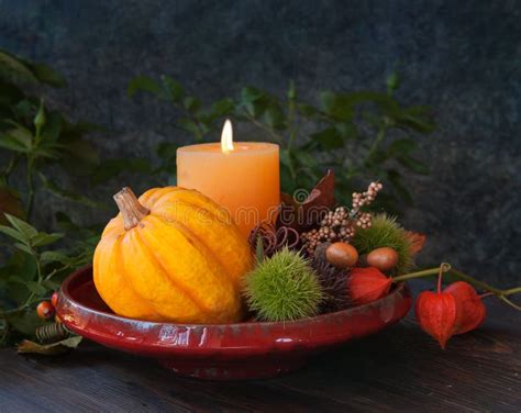 Thanksgiving Decor With Pumpkins Stock Photo Image Of Rustic Brown