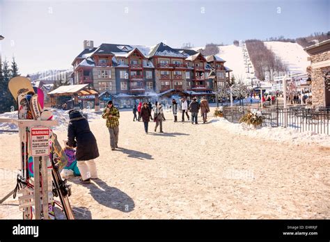 Alpine Ski Resort In Canada Ontariocollingwoodblue Mountains Stock