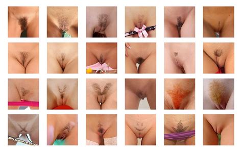 A Montage Of Pussy Cheeky Photos