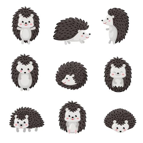 Premium Vector Vector Illustration Of Cute Cartoon Hedgehog