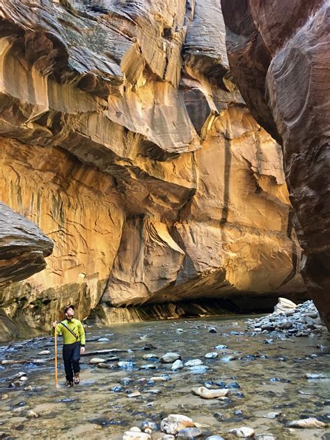 9 Things To Know For The Zion Narrows Hike Travel Guide For Zion