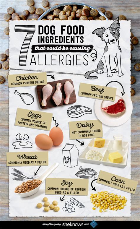 Dog food for allergies might be just about the only thing that can help a dog with food too many foods for dogs with allergies have fillers that might upset their gut health and cause allergic petcare & services,rescue. That Fancy Food You Buy Could Totally Be Triggering ...