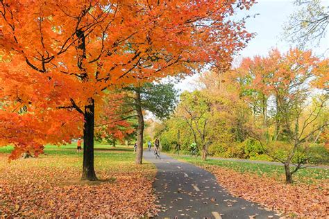 Trails With The Best Fall Foliage Views In Every Nova County