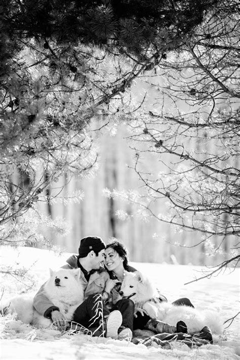 Love Winter Love Shoot With Puppies From Jason Winter