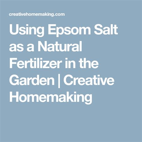 Using Epsom Salt As A Natural Fertilizer In The Garden Natural