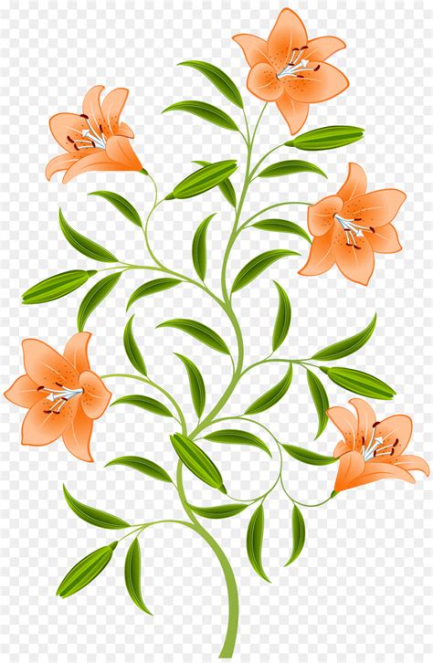 Flor Lilium Bulbiferum Tiger Lily png transparente grátis