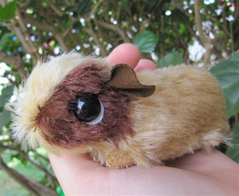 All Things Guinea Pig Mohair Baby Guinea Pigs