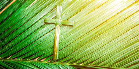 Lectio The Liturgy Palm Sunday 2022