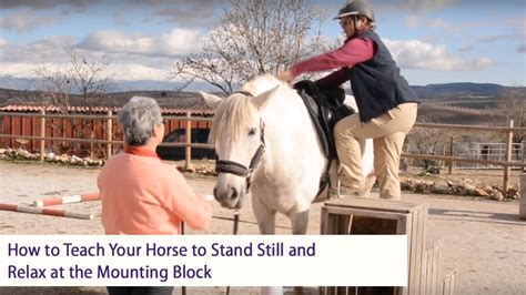 How To Teach Your Horse To Stand Still And Relax At The Mounting Block