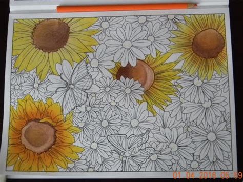 ✓ free for commercial use ✓ high quality images. Coloring Sunflowers w/ Colored Pencils (time lapse) - YouTube