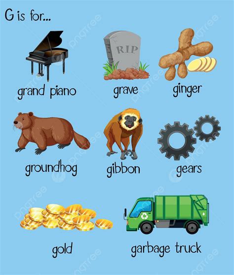 Many Words For Alphabet G Graphic Illustration Phonics Vector Graphic