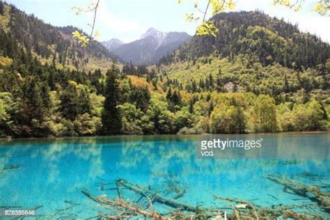 Jiuzhai Valley National Park Photos And Premium High Res Pictures