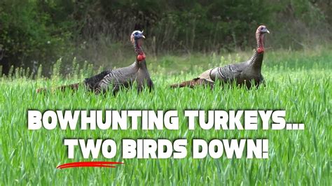 Bowhunting Springtime Gobblers TWO Turkeys Go Down N1 Outdoors