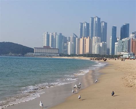 Haeundae Beach Things To Do And How To Go Guide Koreatodo