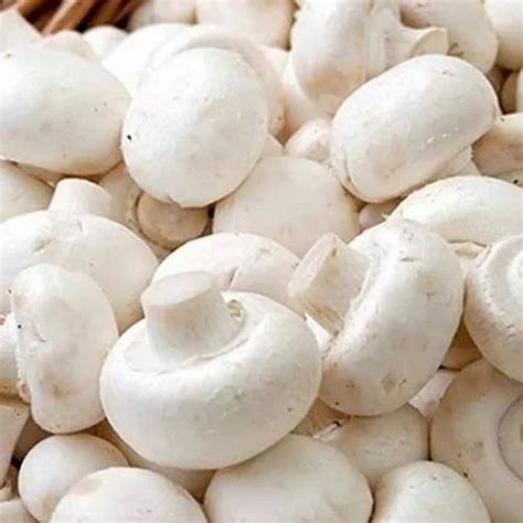 White Mushroom Wholesale Price Mandi Rate For Milky Mushroom