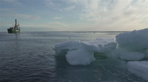 Danish Meteorological Institute Eye On The Arctic