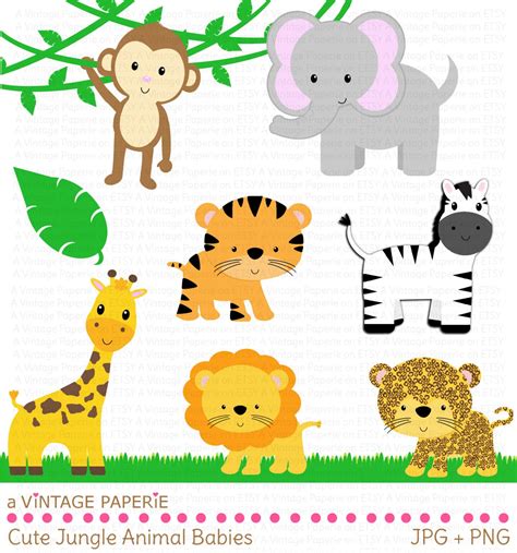 Cute Baby Zoo Animals Png Transparent Cute Baby Zoo