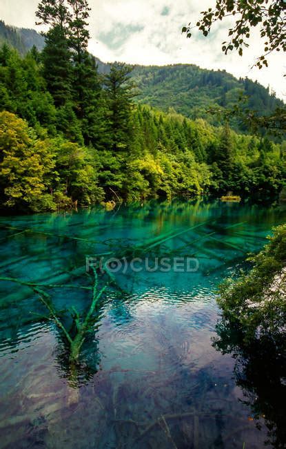 Amazing Landscape With Calm Blue Lake And Green Vegetation In Mountains