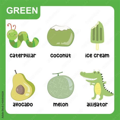 Set Of Green Color Objects Primary Colours Flashcard With Green