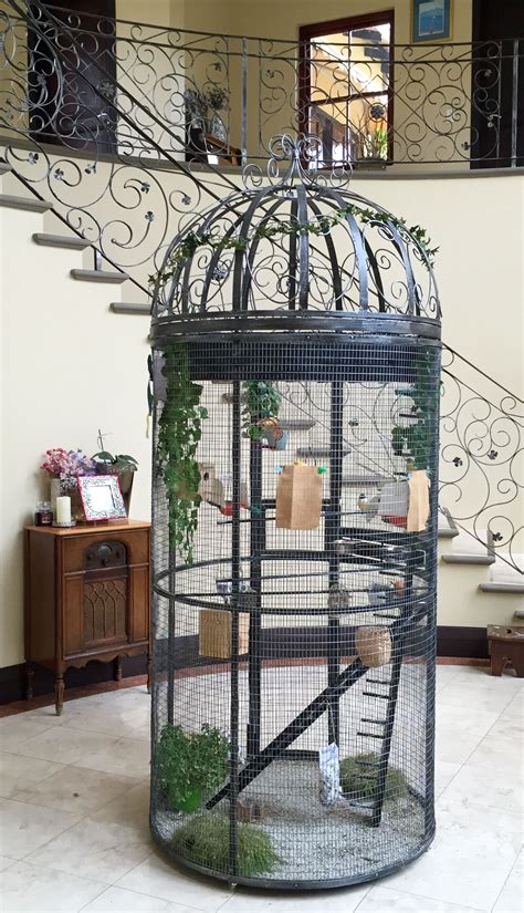 Diy Bird Cage Bird Cage Design Bird Cage Decor Pet Enclosure Reptile Enclosure Enclosures