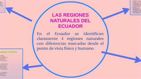 Example Mapa Conceptual De Las Regiones Naturales Del Ecuador Png Images